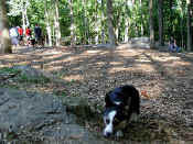 P9071021trail2.jpg (123423 oCg)