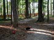P9071024trail1.jpg (122890 oCg)
