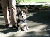 P9081054asa.jpg (81960 oCg)