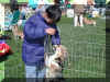 PA070478puppymatch.jpg (104827 oCg)