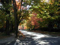 PA200480koyo4.jpg (169687 oCg)