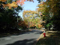 PA200481koyo3.jpg (156815 oCg)
