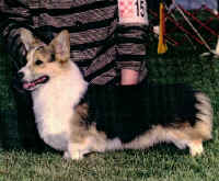 hallmark1yrx450.jpg (125910 oCg)