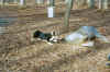 016_16.jpg (53435 oCg)