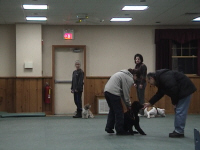 DSC00040.JPG (84247 oCg)