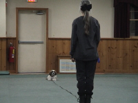 DSC00044.JPG (80636 oCg)