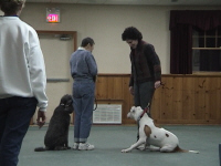 DSC00048.JPG (86943 oCg)