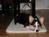 P2020108x600.jpg (108652 oCg)