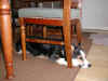 P2080116x600.jpg (171372 oCg)