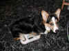 P3080175x600.jpg (199821 oCg)
