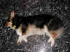 P4050013x600.jpg (209534 oCg)