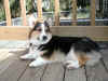 P4060031x600.jpg (162287 oCg)