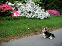 P5180018x600.jpg (134036 oCg)