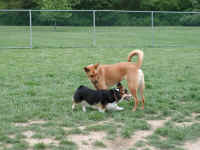 P5180037x600.jpg (111853 oCg)