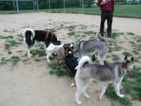P5180040x600.jpg (89233 oCg)