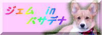 с[Aǂ肪Ƃ