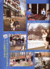 mr10-002.jpg (935557 バイト)