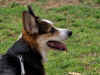 P4121065x640x400.jpg (154809 bytes)