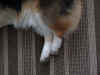 PB232063x640_10.jpg (136778 bytes)